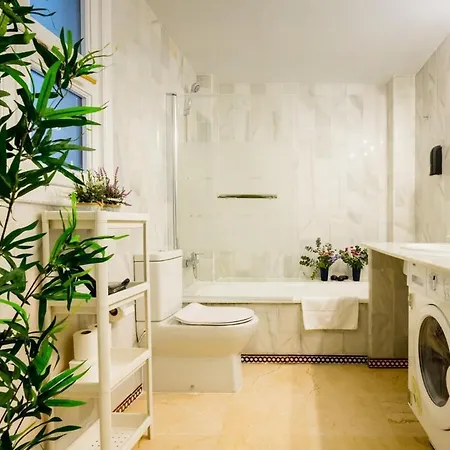 Hispalis Metropol Apartment *